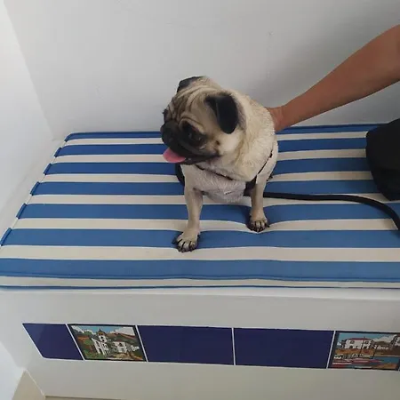 דירה Azahara Playa Vistas - - Playa De Americas פלאייה דה לאס אמריקס